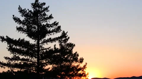 Trees Blowing With Beautiful Sky At Sunset 스톡 동영상 68867247