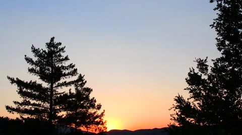 Trees Blowing With Beautiful Sky At Sunset Stock Footage 68907483