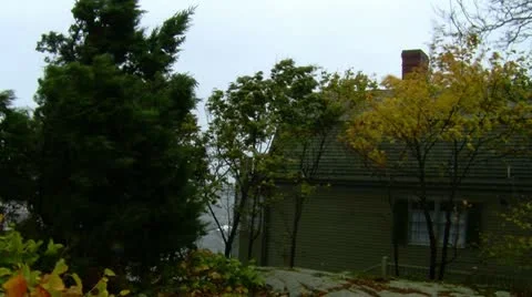 Trees Blowing on Coast During Storm Vídeo Stock 12421355