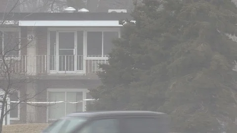 Trees blowing in severe wind and snow storm Stock Footage 103542622