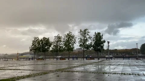 Trees blowing in wind and rain during storm weather Stock Footage 216625620