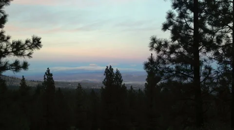 Trees blowing in wind overlooking Reno Stock Footage 34937989
