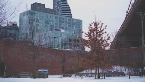 Trees Blowing in the Wind by Water St in Brooklyn Stock Footage 301649208
