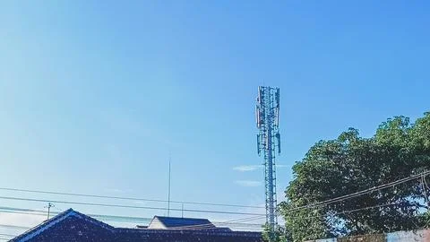 Trees with blue sky background and a communication tower. Stock Photos