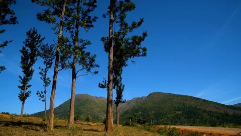 Trees blue sky wind flow mountains landscape video Stock Footage 98733107