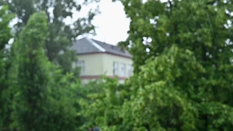 In the trees blurred background, green bokeh. falling raindrops in nature Stock Footage 277575957