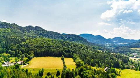Trees border a hillside meadow beneath a forested ridge.. A yellow field bo.. Stock Photos