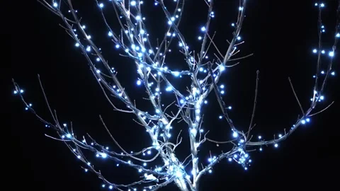 The tree's branches are decorated with shimmering white holiday garlands. Stock Footage 259861613
