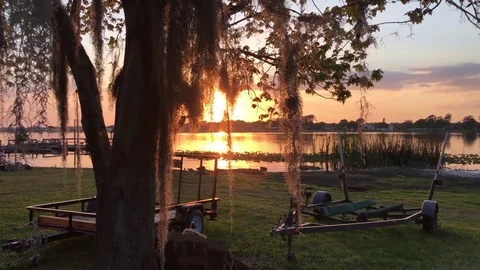 Tree's branches blowing in breeze at dusk Vídeos de archivo 73462970