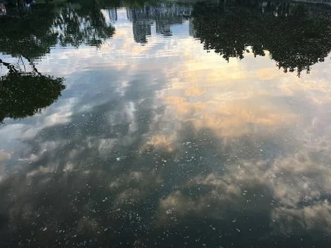 Trees, buildings and clouds reflection Stock Photos