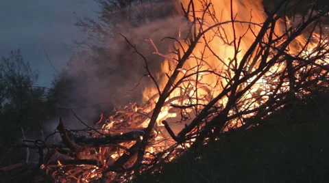 Trees burn in the fire. Night. Sunset Stock Footage 49832206
