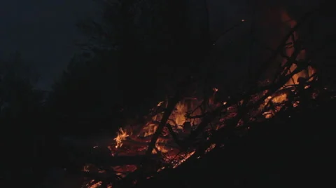 Trees burn in the fire. Night. Sunset Stock Footage 49832436