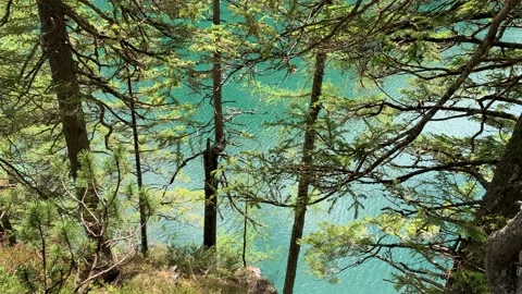 Trees With A Calm Lake In The Background  Lago Di Braies, Italy Video stock 146370863
