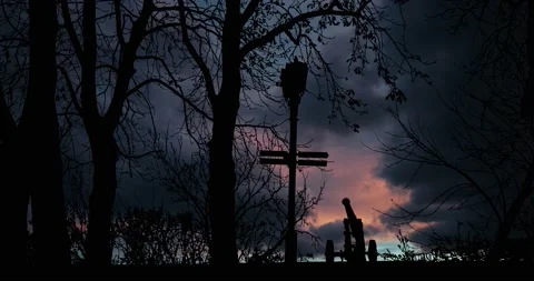 Trees Cannon Silhouette Tree Plant Nature, Stock Footage 238070153