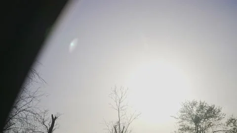 Trees from the car window are in motion. View from automobile at speed. The Stock Footage 194561605