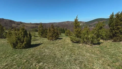 Trees cast shadows across grassy terrain. Balkan, Eastern Europe, POV Video stock 333442911