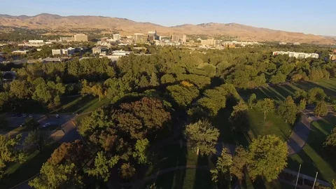 Trees Changing to Fall Aerial 스톡 동영상 101028358