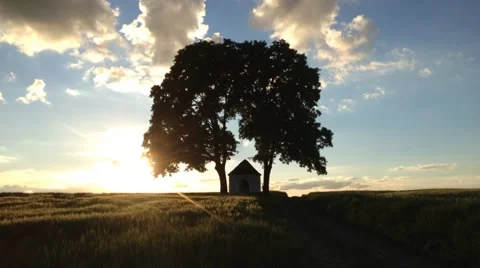 Trees with chapel in sunset 動画素材 45604296