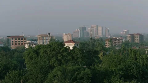 Trees in the city Stock Footage 162781669