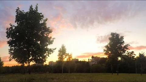 Trees in city Park At Sunset Timelapse Stock Footage 78017948