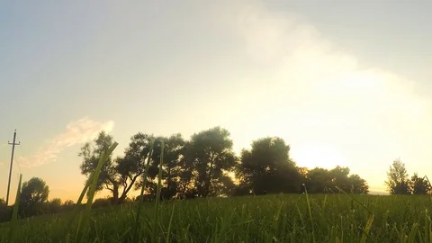 Trees in city park at sunset timelapse Vidéo 82980713