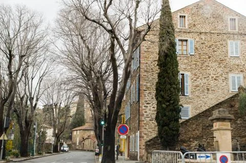 Trees in the city. 库存照片