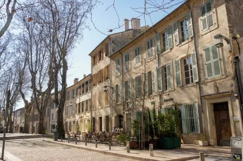 Trees in the city. Stockfoto's