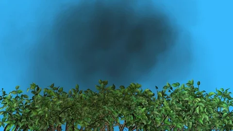Trees clean pollution from atmosphere. 3d animation Stock Footage 129654992