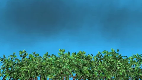 Trees clean pollution from atmosphere. 3d animation Stock-Footage 129654996