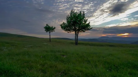 Trees in a clearing with a view of the mountains and sunset Stock Footage 284134811