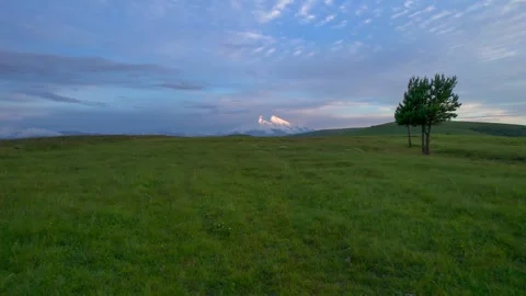 Trees in a clearing with a view of the mountains and sunset Stock Footage 284135051