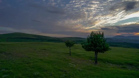 Trees in a clearing with a view of the mountains and sunset Stock Footage 284135122