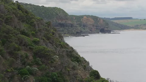 Trees on cliffs of coastline Vídeos de archivo 295079989