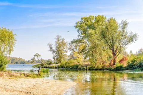 Trees close to the river Fotos de archivo