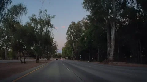 Trees closing over a flat highway at dusk, Los Angeles Video stock 344010941