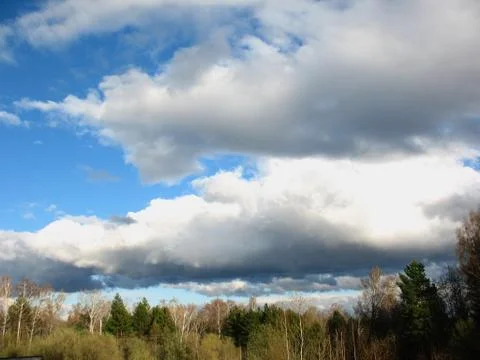 Trees, clouds and blue sky Stock Photos