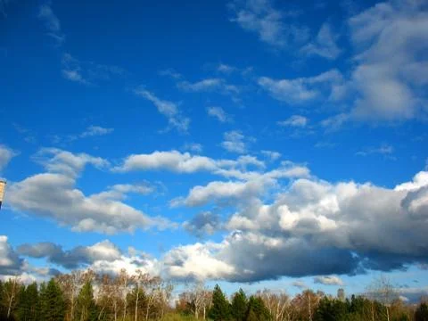 Trees, clouds and blue sky Stock Photos