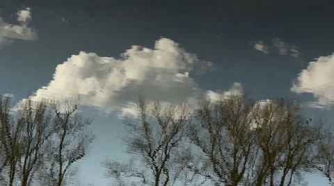 Trees, clouds and sky reflecting in water Stock Footage 60109188