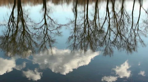 Trees, clouds and sky reflecting in water Stock Footage 60110458