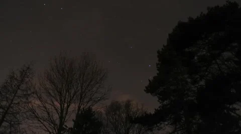 Trees, Clouds and Stars Timelapse Stock Footage 976260