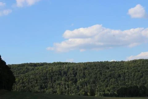 Trees with clouds in the background Stock Photos