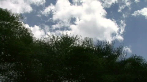 Trees &amp; Clouds Video stock 309210