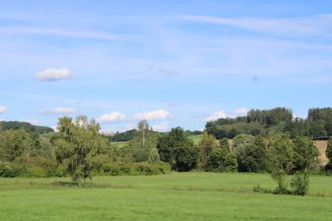 Trees with clouds Stock Photos