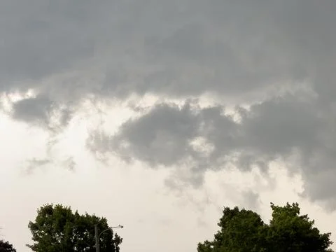 Trees with clouds in the summer Stock Photos