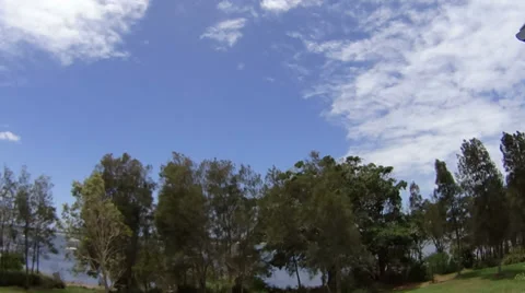 Trees Clouds Timelapse Stock Footage 34501371