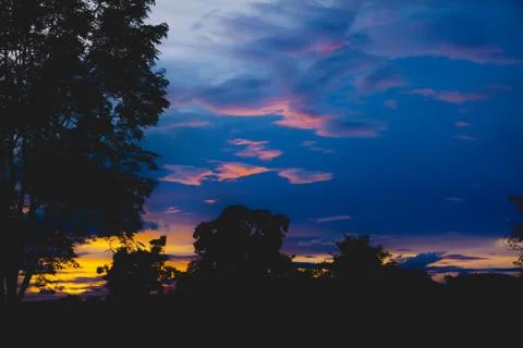 Trees on cloudy with sky at evening background silhouette style. Stock Photos