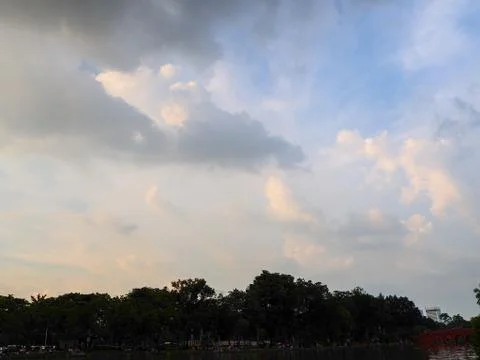 Trees on cloudy with sky at evening background silhouette style. Stock Photos