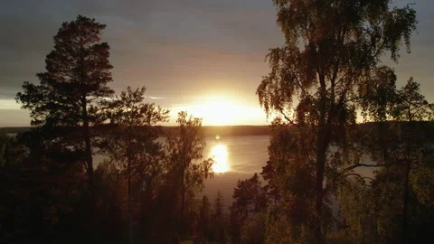 Trees of coastal forest in front of the Baltic Sea, Sweden, aerial during sunset Stock Footage 156902664