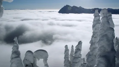Trees coated in snow peeking from cloudy sky troposphere in day time Stock Footage 121577440