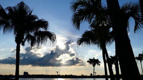 Trees coconut and clouds on sun background 스톡 동영상 108267851